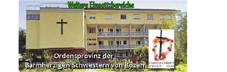 Weitere Einsattzbereiche